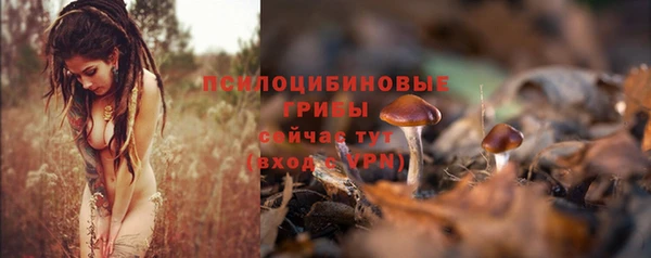 дживик Балабаново